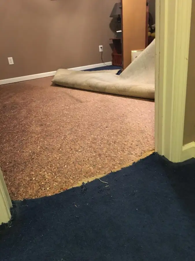 Carpet pad removal revealing water damage during Drying & Dehumidification in Morrow