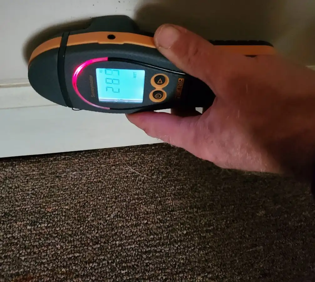 Moisture detection at baseboard during Sewage Cleanup & Sanitation in Morrow